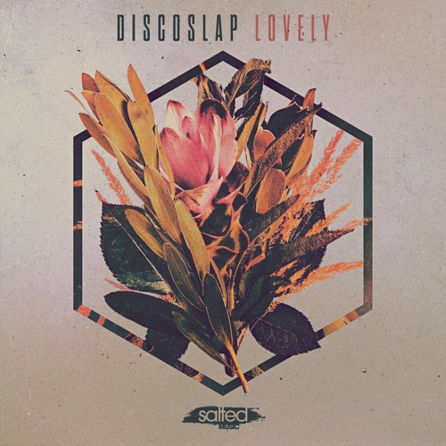 Discoslap - Lovely [SLT201]